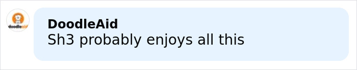 Comment by DoodleAid saying Sh3 probably enjoys all this, displayed in a social media style text box. Comment by DoodleAid saying Sh3 probably enjoys all this, displayed in a social media style text box.