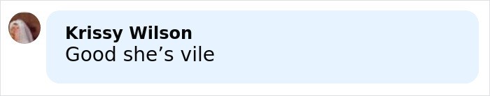 Screenshot of a social media comment from Krissy Wilson saying "Good she’s vile" related to Bonnie Blue arrest discussion. Screenshot of a social media comment from Krissy Wilson saying "Good she’s vile" related to Bonnie Blue arrest discussion.