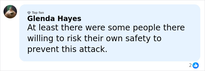 Comment by Glenda Hayes praising brave people risking safety to stop Bondi Beach attacker with once-in-a-lifetime move.