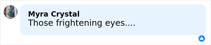 Comment by Myra Crystal expressing concern about frightening eyes, related to Rob Reiner&rsquo;s daughter Romy being scared of brother Nick.
