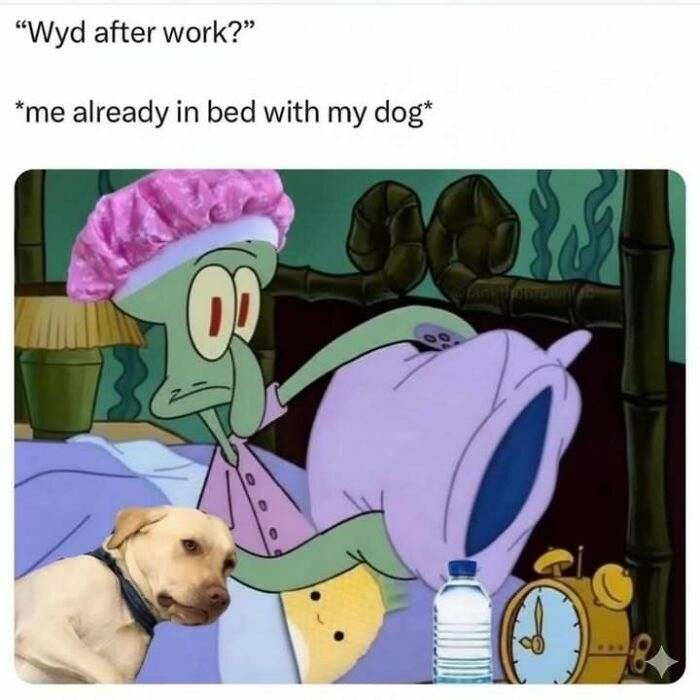 Cartoon squid character in bed with a dog, wearing a shower cap, illustrating hilarious memes about stress relief.