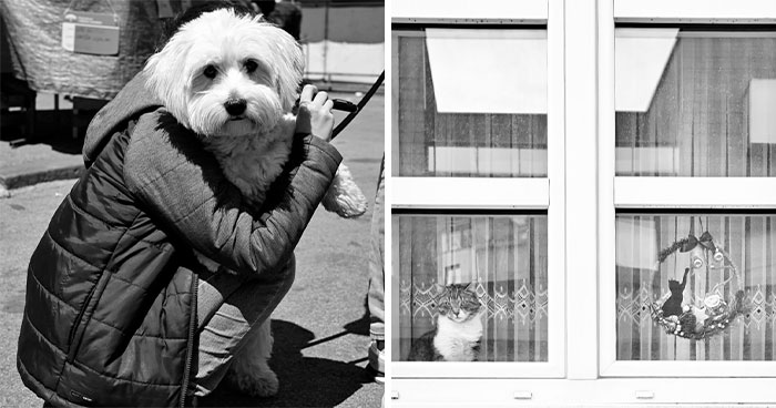 The Marvels Of Daily Life Captured In 45 New Stunning Photos By Mary Crnkovic Pilas