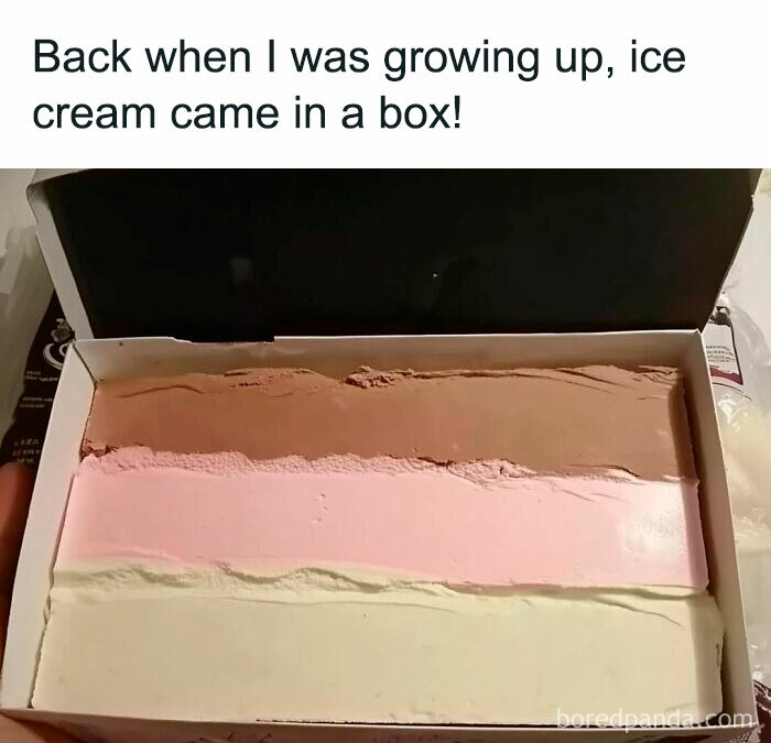 Vintage ice cream in a box with chocolate, strawberry, and vanilla flavors featured in hilarious food memes.