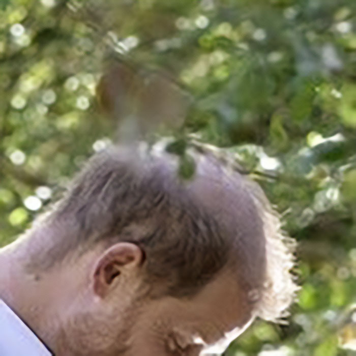Prince Harry and Meghan Markle pictured outdoors with blurred greenery in the background amid holiday snap manipulation claims.