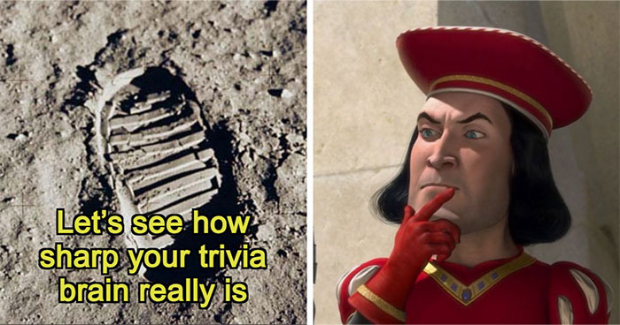 “Would You Run A Trivia Night?”: Test Your General Knowledge With 35 Pub Questions