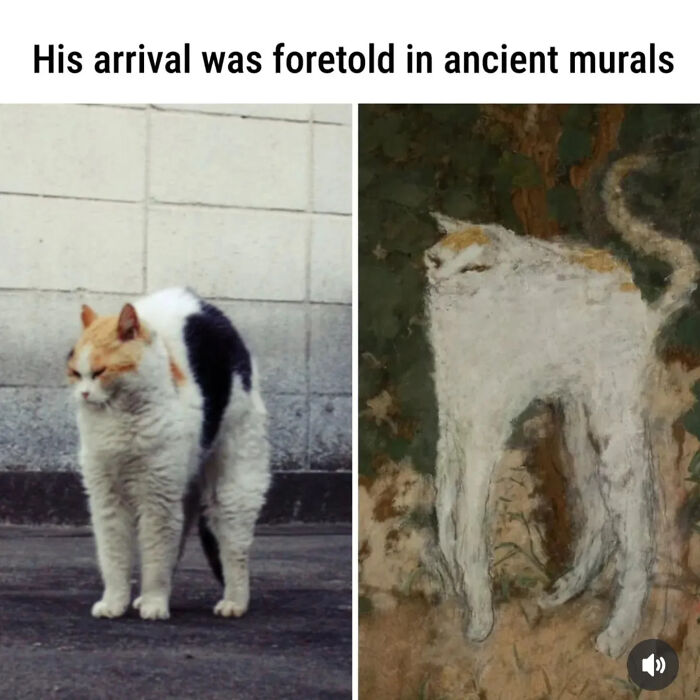 Photo of a cat next to a classical painting cleverly captioned, showcasing humorous comparisons from Instagram creator.