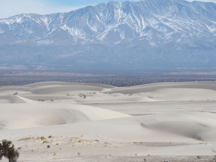 White sand dunes with sparse vegetation against a backdrop of snow-capped mountains, a place that looks AI generated but is real.