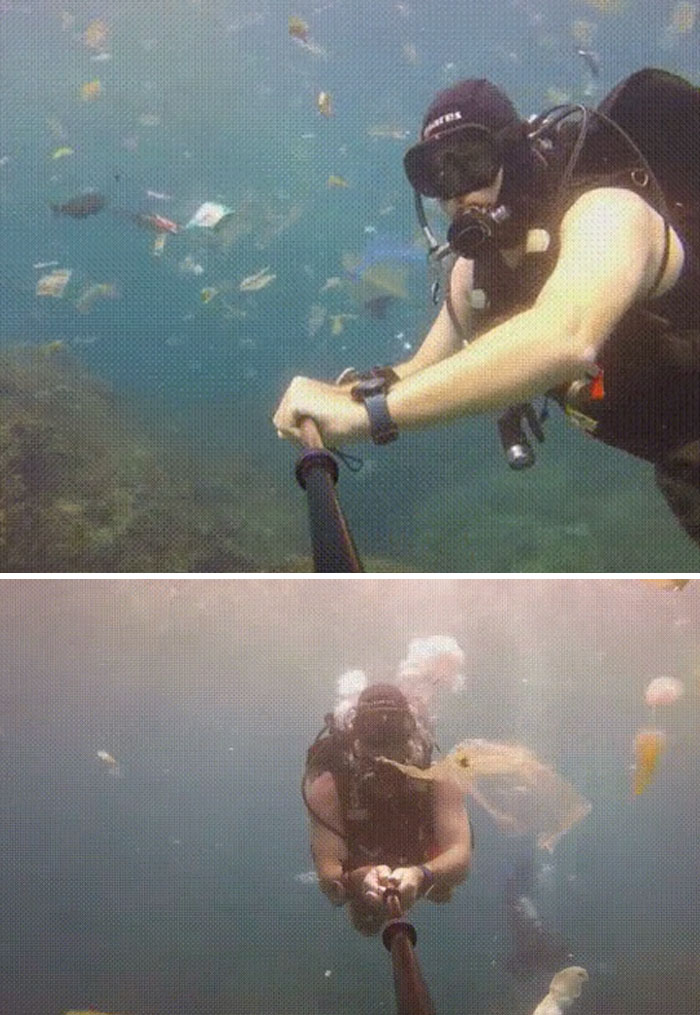 Scuba diver underwater surrounded by fish and floating plastic bags showing rage-inducing pollution in ocean.