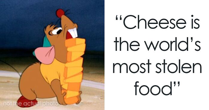 44 Truly Random Facts That Are Still Better Than The News