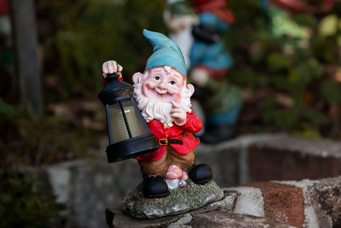 Garden gnome holding lantern in a backyard, symbolizing HOA snitch disputes over grass height and property rules enforcement.