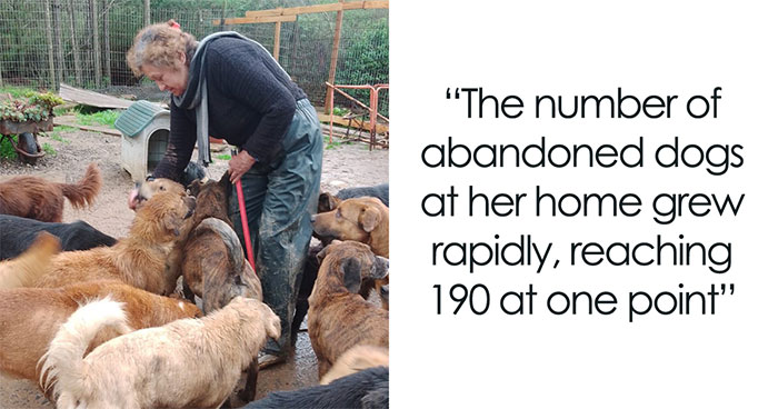 Meet Teresa, Who Built A Sanctuary And Now Looks After 190 Rescued Dogs