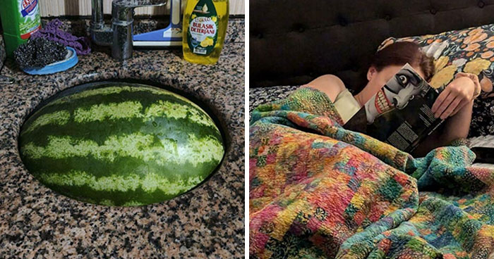 “Very Satisfying”: 50 Times Random Things Matched Up So Well It Felt Staged (New Pics)