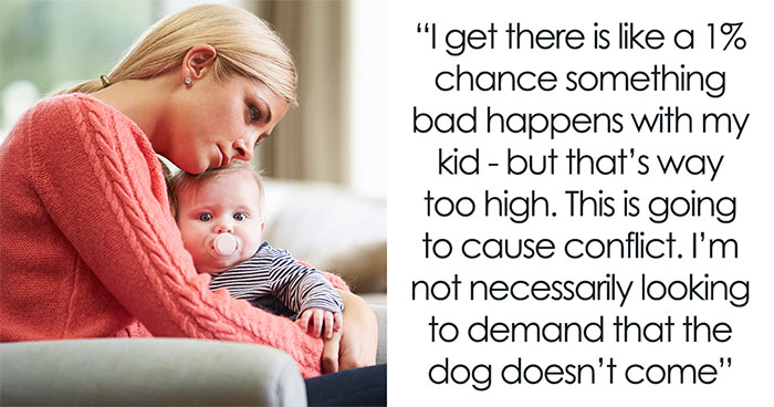 New Mom Politely Nopes Out Of Family Vacay After Bro Insists His Pit Bull Is Fine Around Her Baby