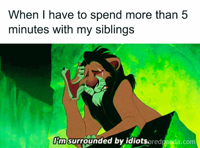 Scar cartoon character frustrated, caption about spending time with siblings, illustrating sibling memes humor.