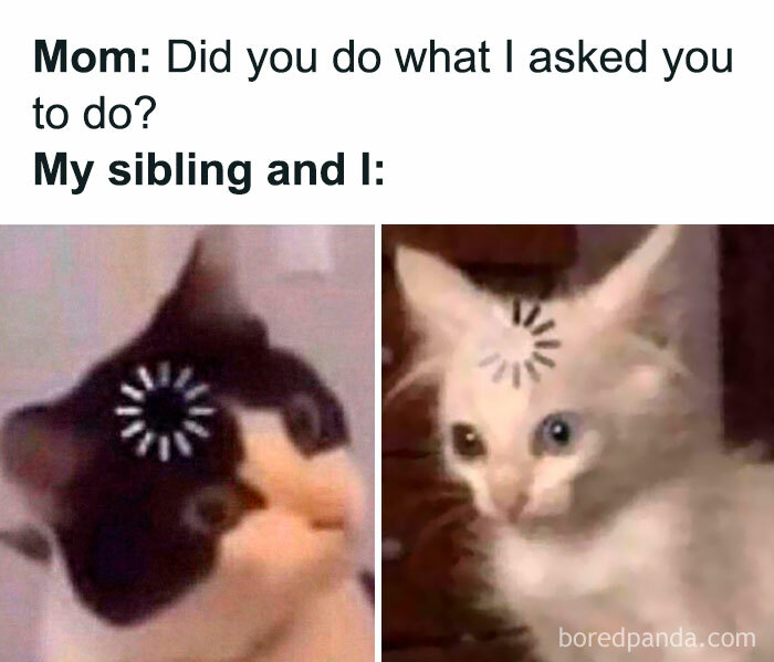 Two cats with loading symbols on their heads, humorously depicting siblings blankly forgetting a task, sibling memes concept.
