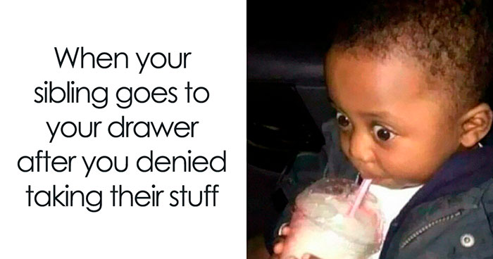 50 Funny Memes That Don’t Need Context If You Have Siblings
