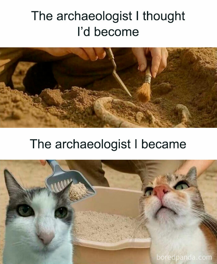 Archaeologist meme contrasting digging fossils with cats using a litter scoop, featuring cat memes humor theme.