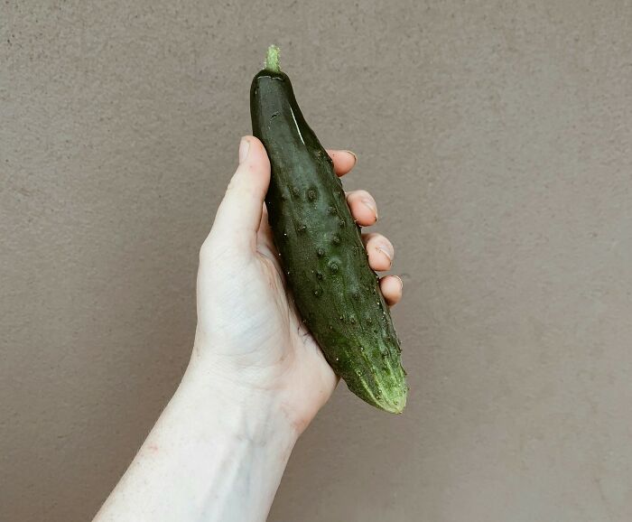 Hand holding a fresh cucumber against a plain wall, illustrating everyday things dangerous for your health.