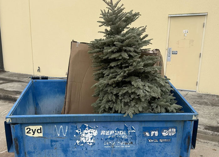 Blue dumpster filled with discarded cardboard and an old Christmas tree, illustrating diabolical revenge stories.