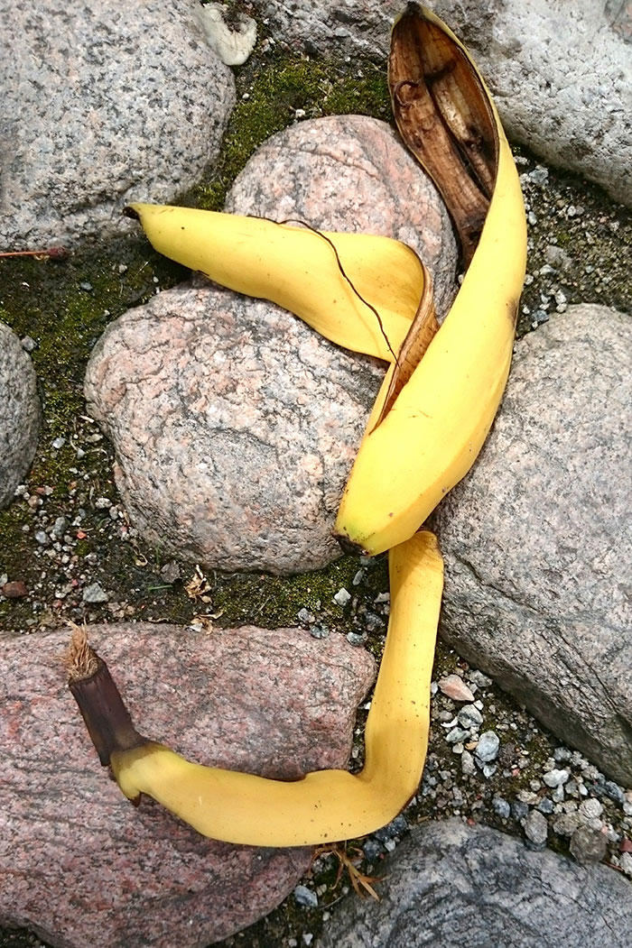 Banana peels lying on rocks outdoors, illustrating unexpected things people only believe after experiencing them.