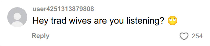 Comment on social media reading Hey trad wives are you listening with an eye-roll emoji, reflecting SAHM at a loss after divorce request.