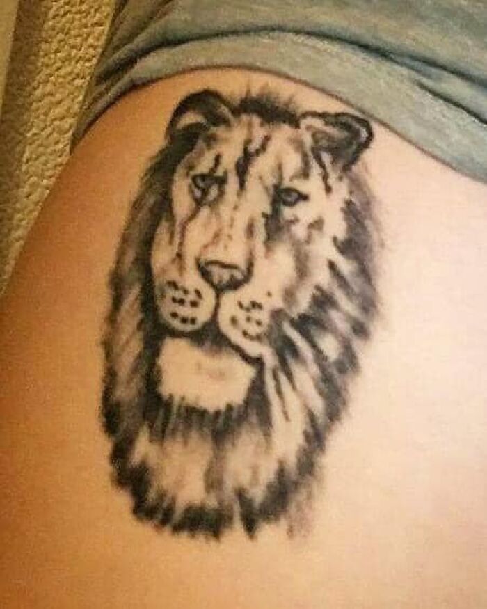 Lion tattoo with distorted features on skin, shared in an online group dedicated to the worst tattoos causing cringe reactions.