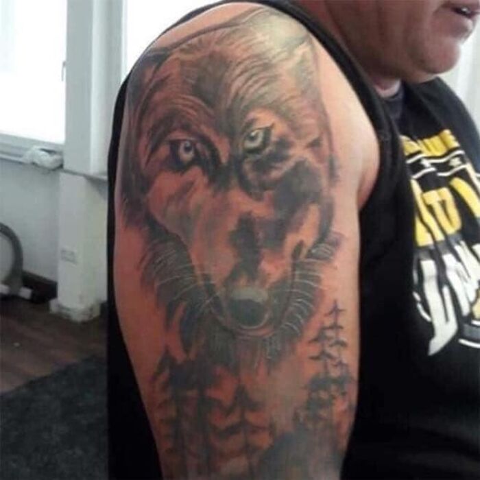 Tattoo of a wolf on upper arm with blurred details, part of worst tattoos shared in an online group dedicated to bad tattoos.