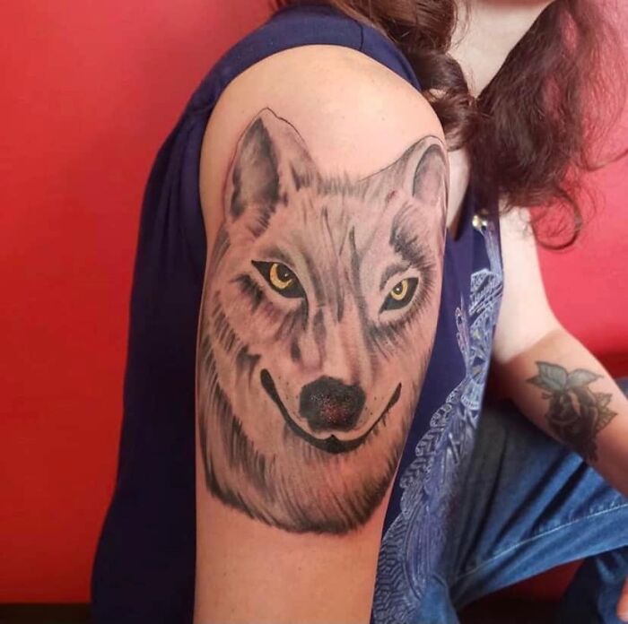 Tattoo of a wolf with unusual facial expression on a person's upper arm, featured in worst tattoos online group.