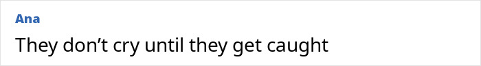 Screenshot of a comment reading They don’t cry until they get caught on a white background with username Ana in blue text.