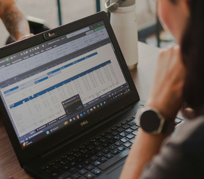 Person working on a Dell laptop analyzing data on a spreadsheet related to AI industry dirty secrets and insights.