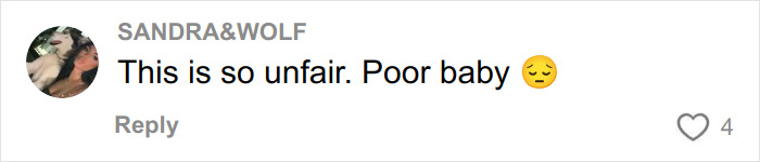 Comment on social media expressing sympathy for a teen taught a harsh lesson by a judge after pepper-spraying tourists on a boat. Comment on social media expressing sympathy for a teen taught a harsh lesson by a judge after pepper-spraying tourists on a boat.