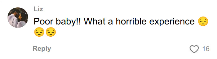 Comment from user Liz expressing sympathy with sad emojis about a teen taught a harsh lesson by judge after pepper-spraying tourists. Comment from user Liz expressing sympathy with sad emojis about a teen taught a harsh lesson by judge after pepper-spraying tourists.