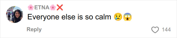 Comment by user ETNA expressing surprise and concern with emojis about others remaining calm in the situation. Comment by user ETNA expressing surprise and concern with emojis about others remaining calm in the situation.