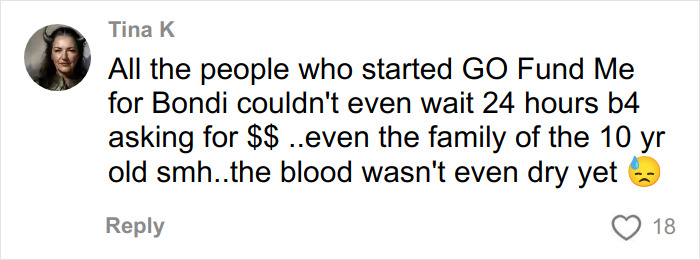 Comment criticizing a single mom's tone deaf GoFundMe after Bondi Beach attack sparks public outrage.