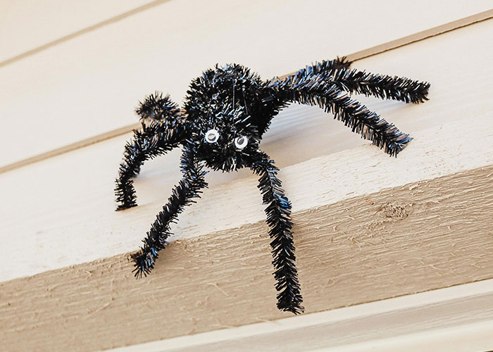 Black spider decoration with googly eyes on beige siding, illustrating strange things people accidentally saw neighbors doing.