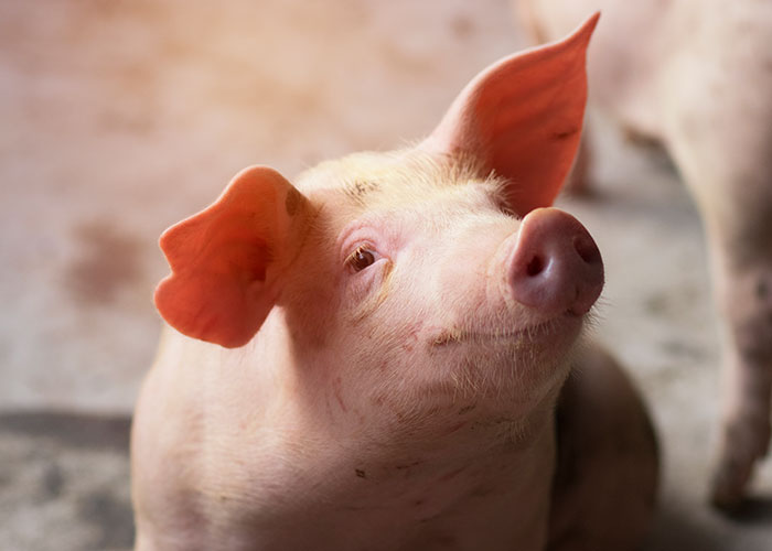 29 Weird Neighbor Moments People Still Cannot Explain