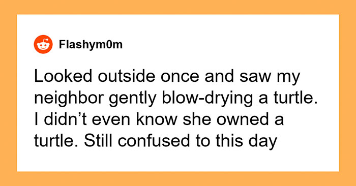 29 Weird Neighbor Moments People Still Cannot Explain