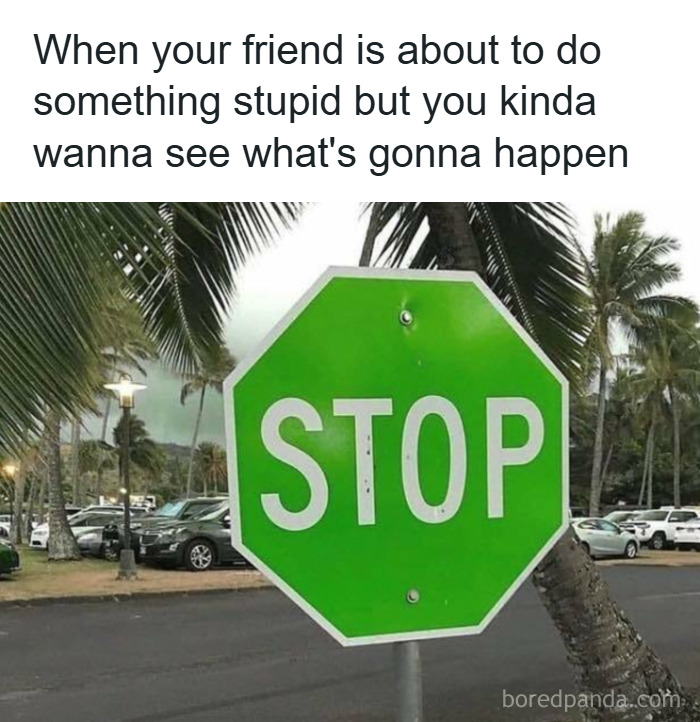 Green stop sign tilted sideways with a caption about a friend doing something stupid, representing funny Know Your Meme content.