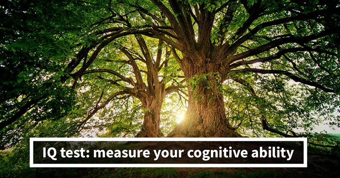 28 Real Questions From Top IQ Assessments That Only A Few Can Solve – Prove You Can