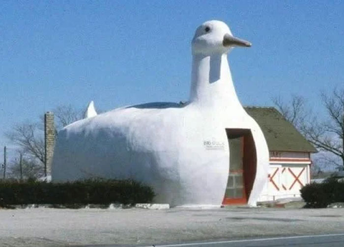 Building shaped like a large white duck illustrating one of the weirdest buildings from around the world collection.