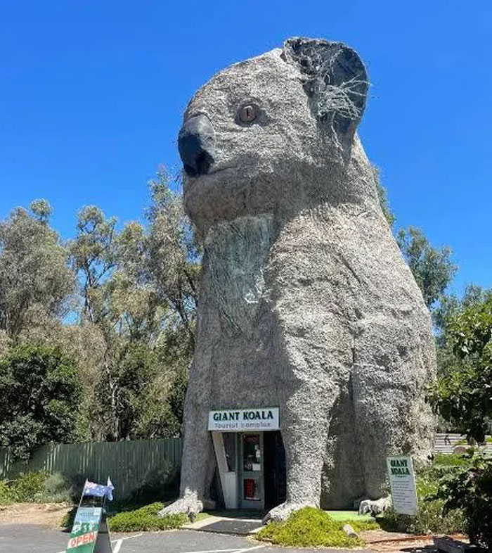 Giant koala building serving as a tourist complex, an example of weird architecture and bread-shaped bread factory design.