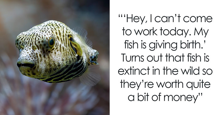 “I Couldn’t Stop Laughing”: 47 Weird But Surprisingly True Excuses For Missing Work