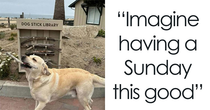 If You’re Not In A Festive Mood, These 103 Cute And Funny Animals Might Brighten Your Day