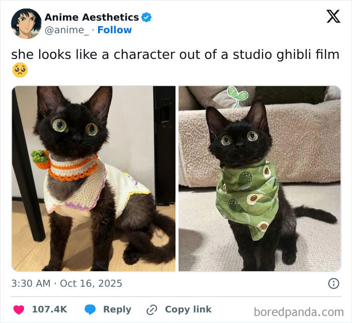 Two black cats wearing cute knitted and avocado-themed outfits, featured in cheerful memes about wasting time online.