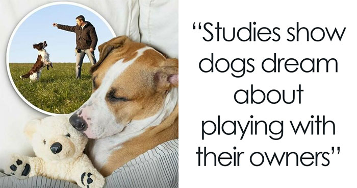 92 Wholesome Facts That You Probably Didn’t Know But Should