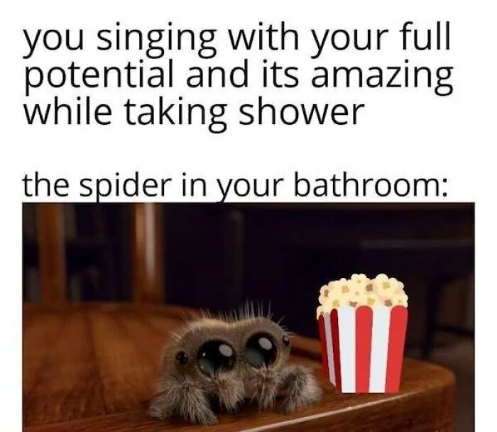 Cute spider with big eyes watching popcorn, capturing a sweet and wholesome moment to cleanse your feed.