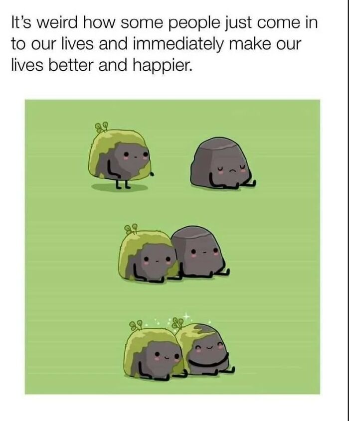 Cute cartoon rocks showing friendship and happiness, illustrating sweet and wholesome moments to cleanse your feed.