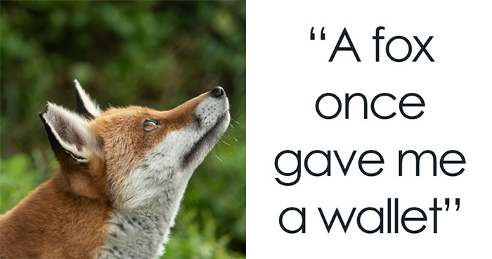 “I Still Think About It To This Day”: 52 Times People Witnessed Nearly Unbelievable Things