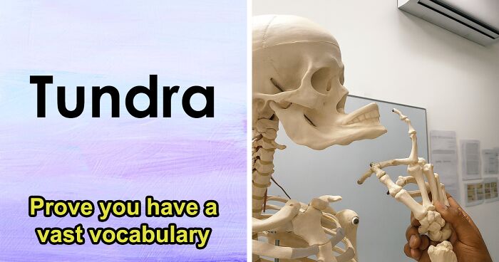 “Think You Have An Extensive Vocabulary?”: 30 Terms That Might Make You Reconsider