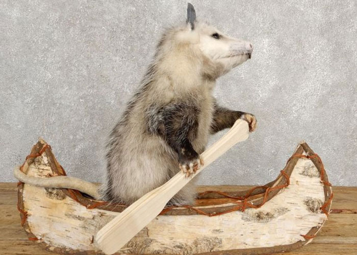 46 Gifts That Were More Insult Than Present